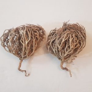 پنجه مریم (۵۰گرم)